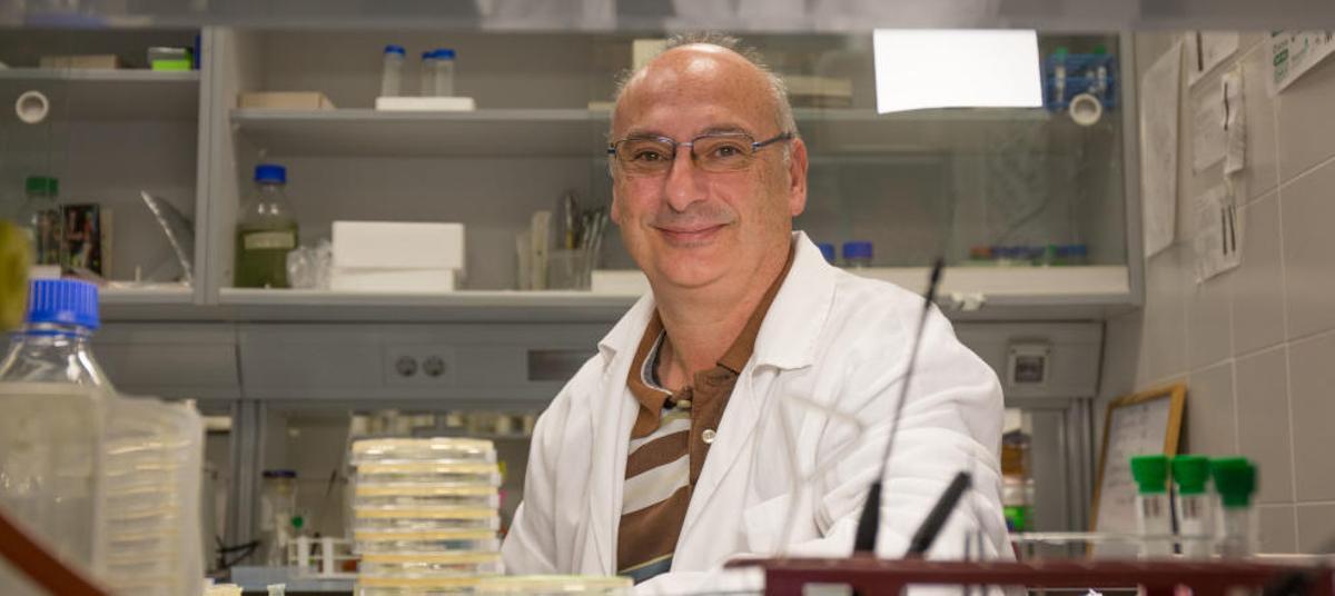 El ilicitano Juan Francisco Martínez Mojica se queda sin el Nobel de Medicina