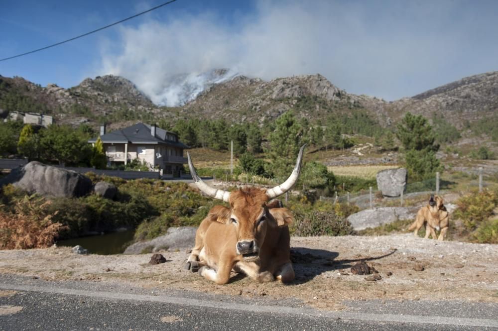 El macroincendio de Entrimo devoró más de seis hectáreas por minuto en cinco horas críticas