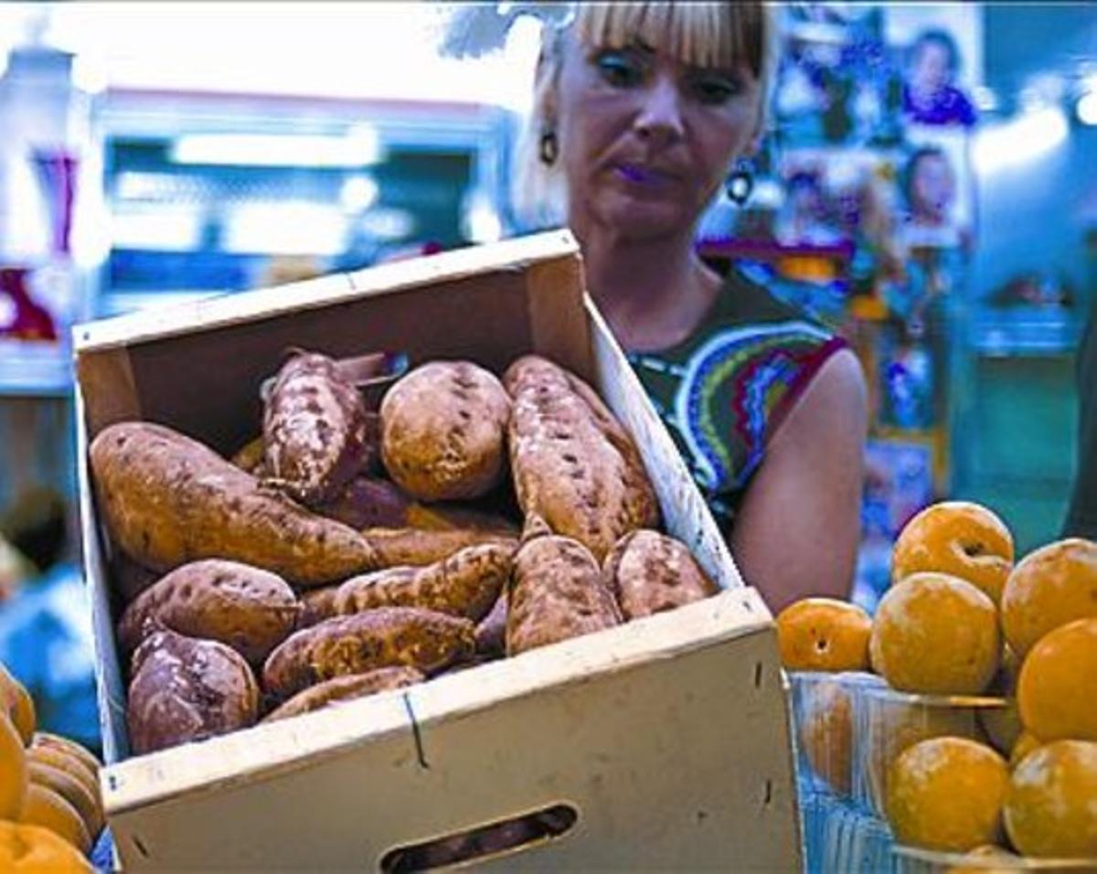 Si fa fred, millor Temps de castanyes Cruïlla concorreguda Tradició saludable Acabades de coure Debutant Una icona veïnal Preus congelats De pel·lícula Relleu familiar Recepta casolana_MEDIA_3 Si fa fred, millor Temps de castanyes Cruïlla concorreguda Tradició saludable Acabades de coure Debutant Una icona veïnal Preus congelats De pel·lícula Relleu familiar Recepta casolana_MEDIA_3