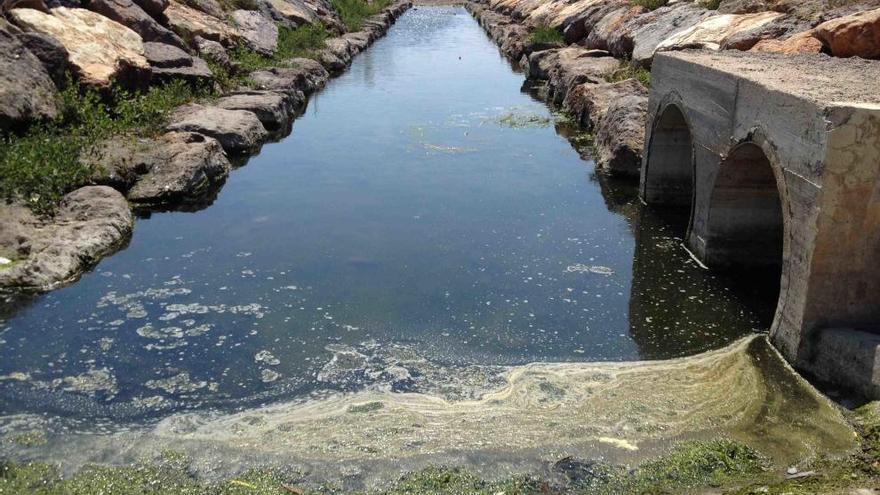 IP denuncia la completa obstrucción del desagüe del colector de la playa del Port de Sagunt