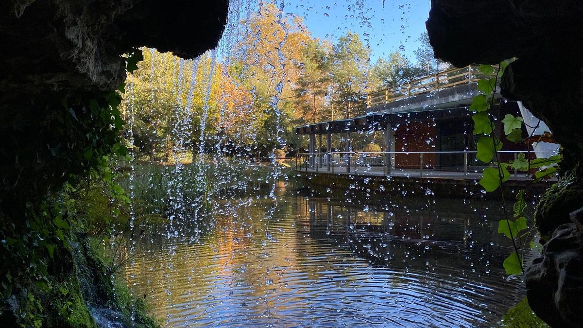 Jardín Botánico Atlántico de Gijón: entre bosques centenarios y laberintos de laurel