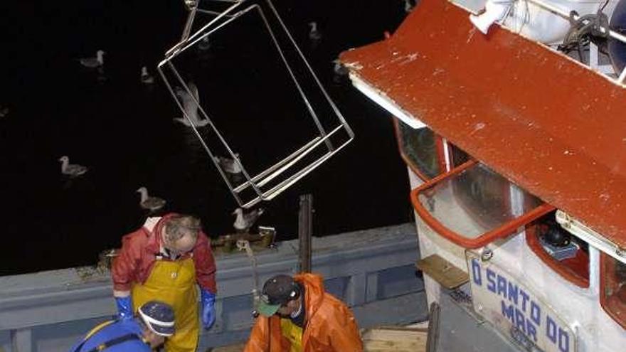 Descargas de pescado en el puerto de A Coruña. / juan varela