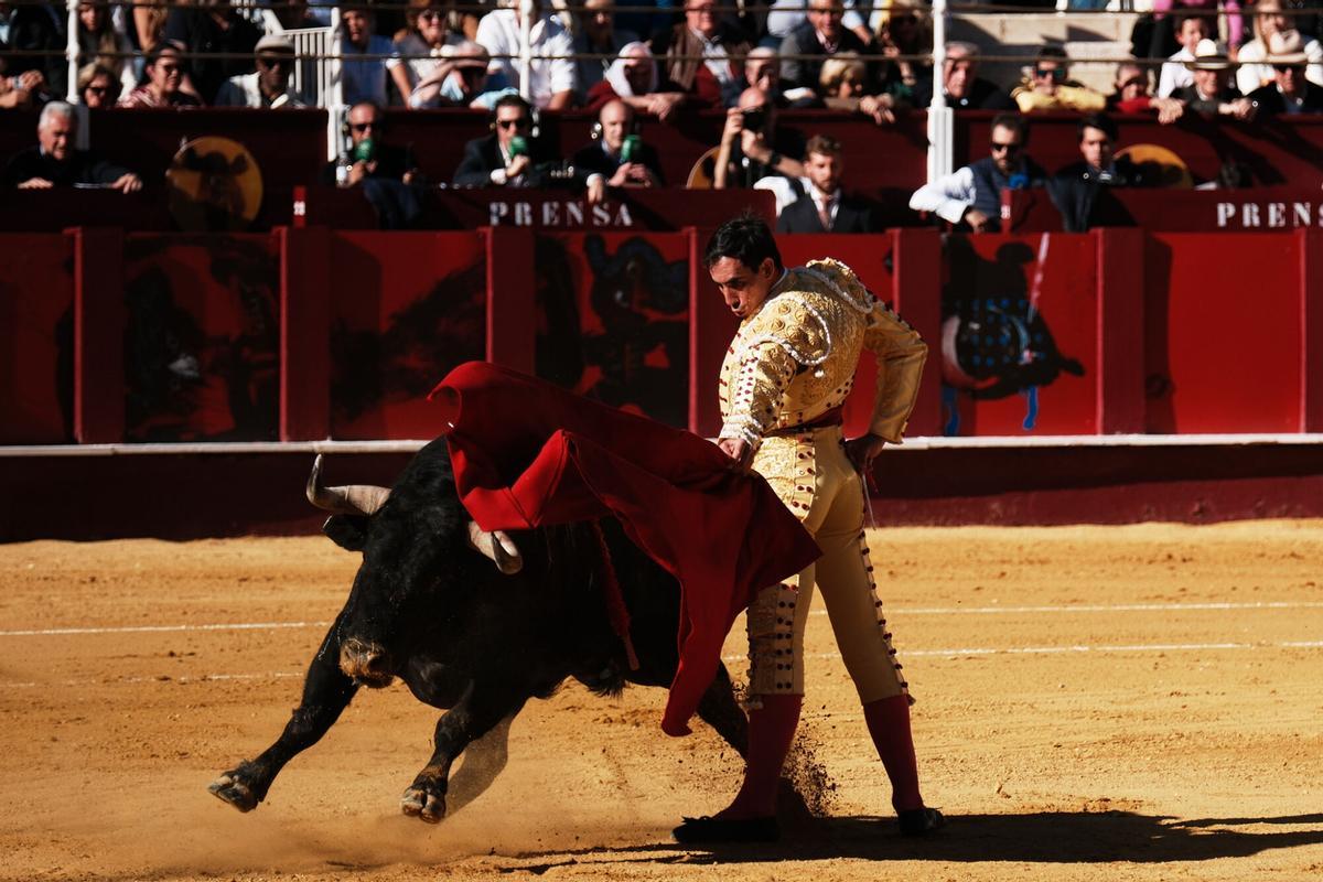 Corrida Picassiana este sabado 4 de abril en la plaza de Toros de la Malagueta