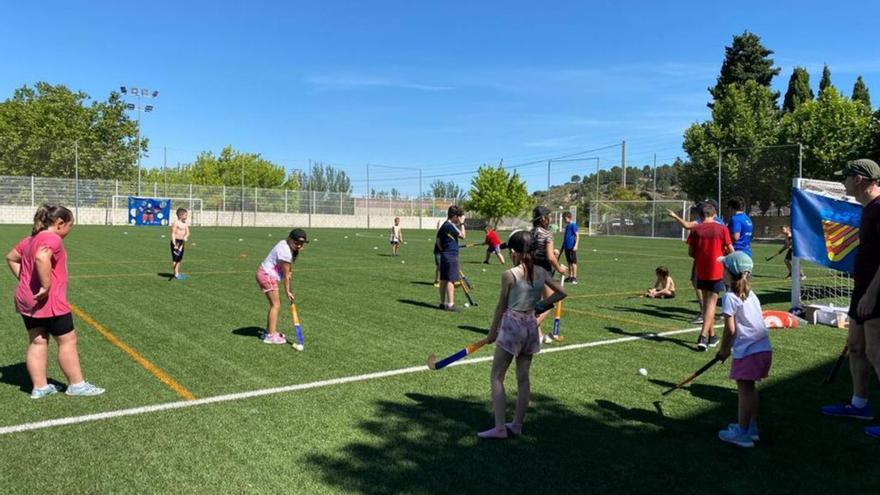 Taller de hockey sobre hierba