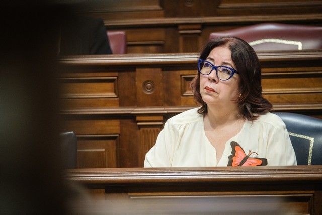 Segunda jornada del pleno en el Parlamento de Canarias, 27/04/2022