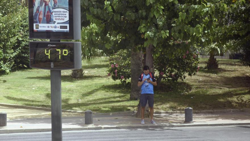 Los termómetros marcaban este miércoles en Murcia 47ºC