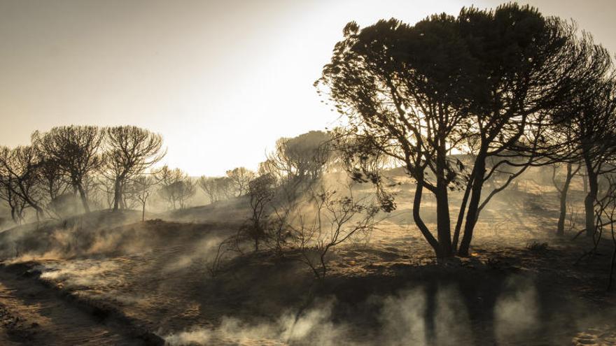 El incendio está controlado desde esta mañana.