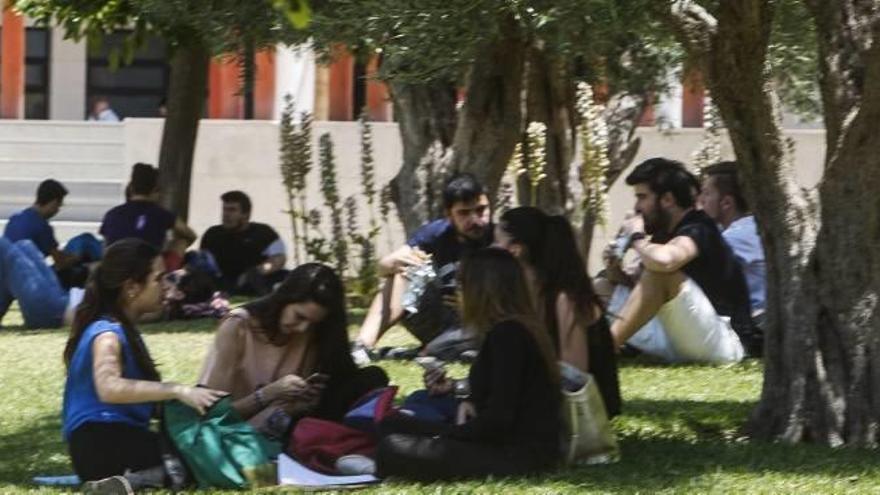 Universidades amplía las becas pero no baja las tasas