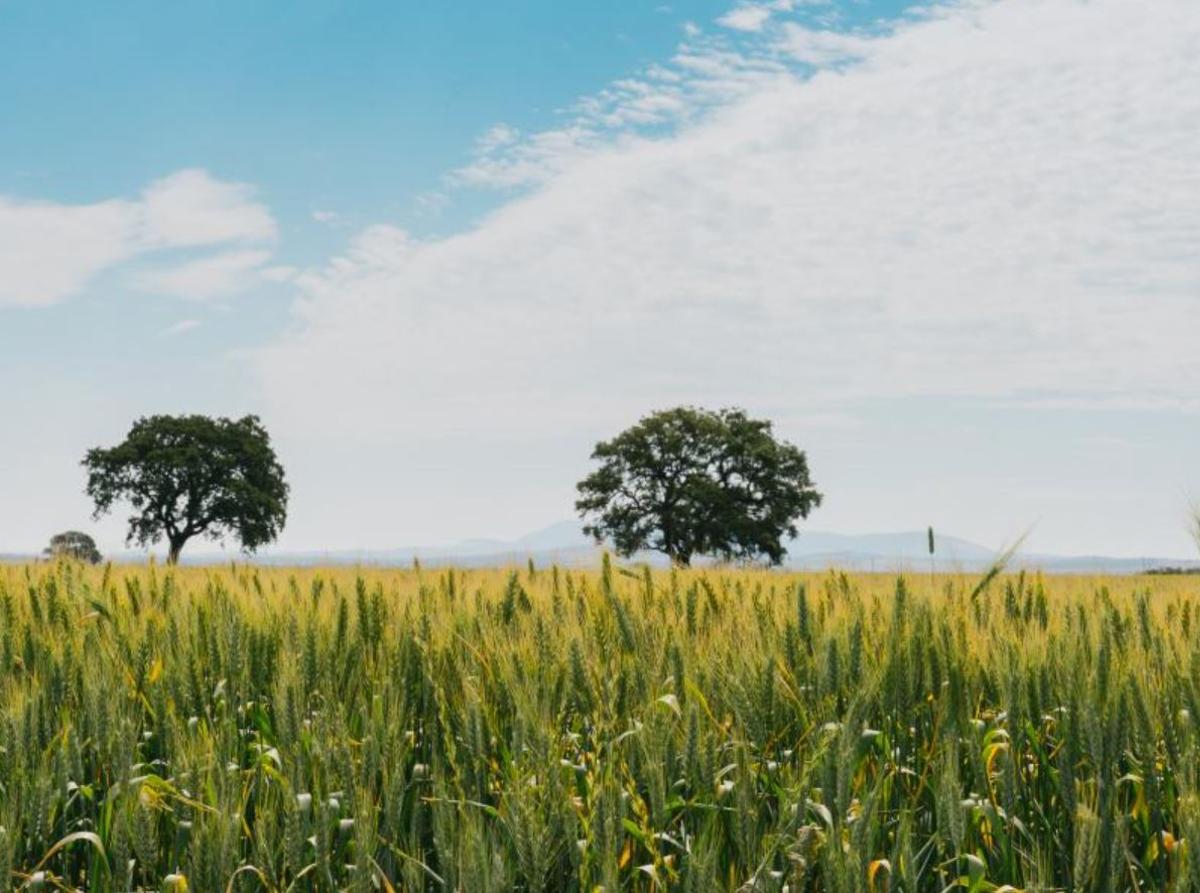 Lantejuela y el curioso motivo por el que todo el mundo pronuncia mal el nombre de este pueblo sevillano
