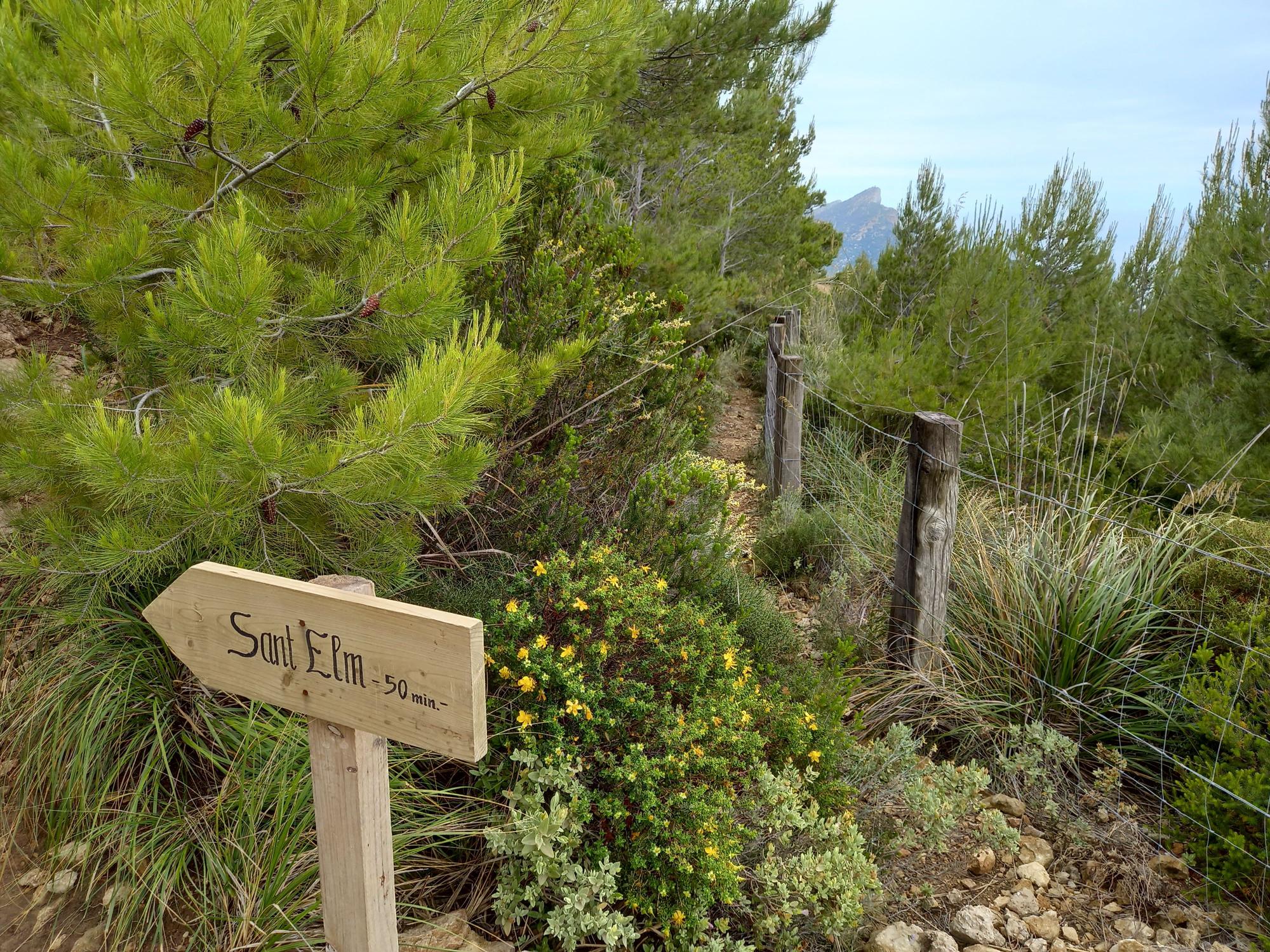 Operation Wegweiser: Wandern auf Mallorca im Schilderwald