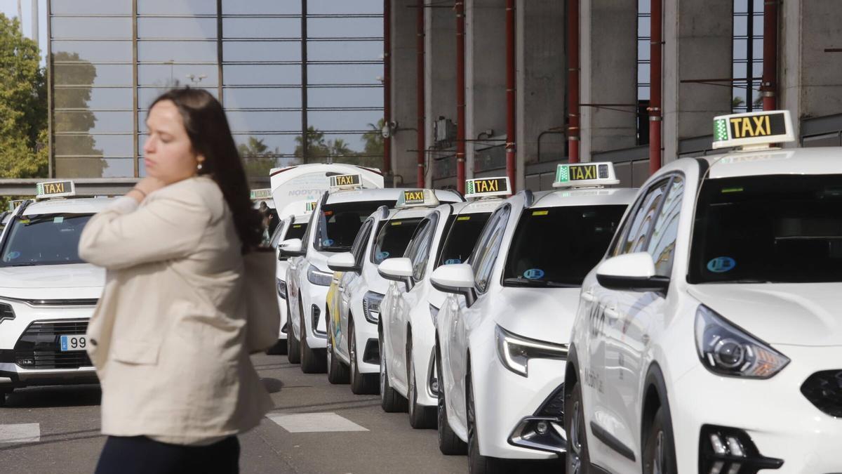 Nuevas ayudas al taxi en Córdoba: la ciudad tendrá 440 coches adaptados o sostenibles de un total de 509 vehículos.