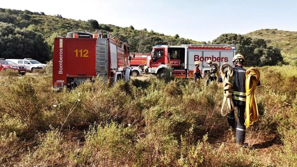 Efectivos de bomberos del Consorcio Provincial durante una intervención en zona forestal.