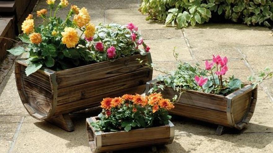 El truco económico y simple para mantener vivas tus plantas mientras te vas de vacaciones