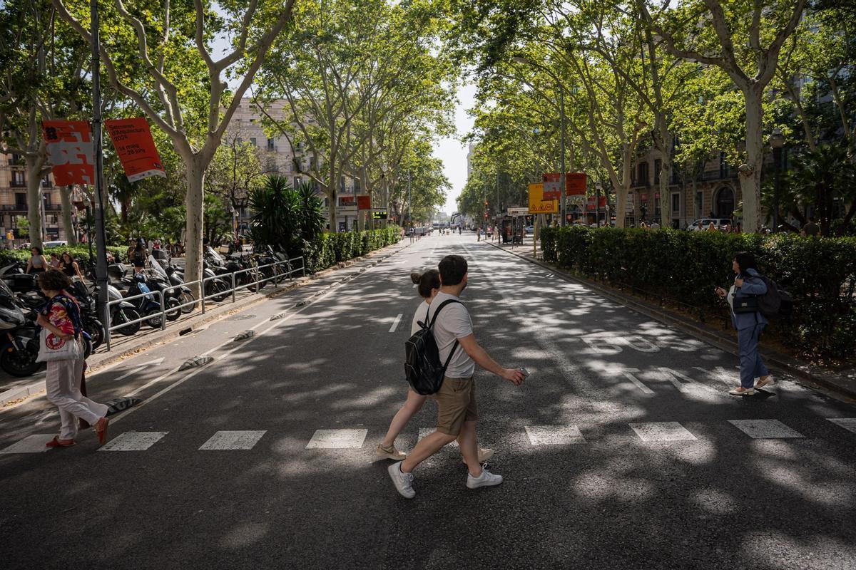 Preparativos para la exhibición de F1 en Barcelona