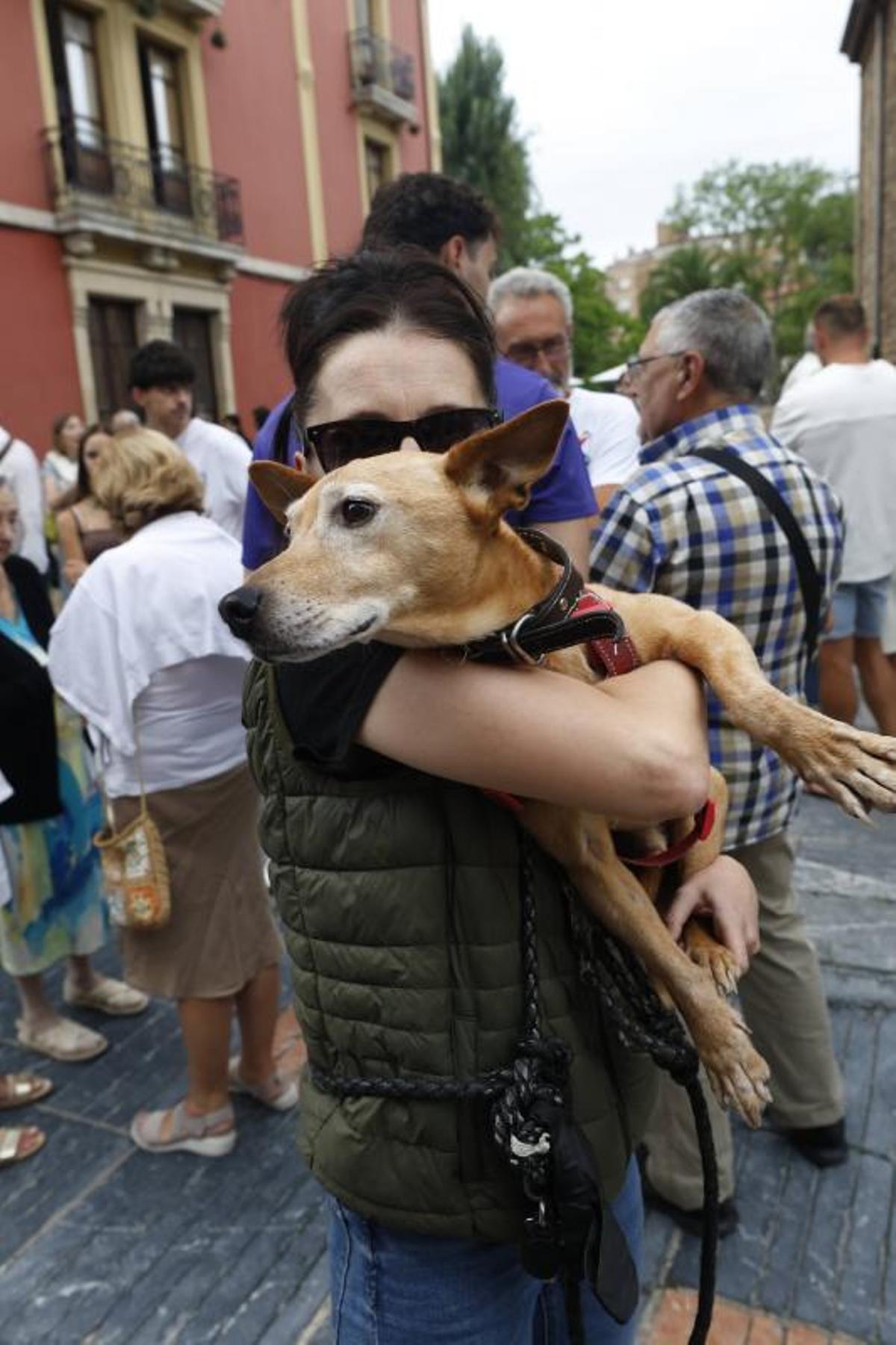 EN IMÁGENES: la bendición de San Roque a las mascotas en El Carbayedo, en Avilés