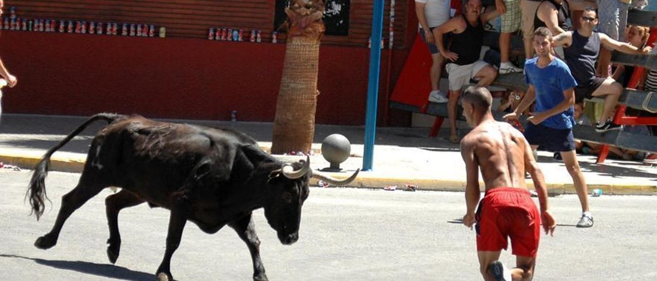 Las altas pólizas amenazan la celebración de los ‘bous al carrer’
