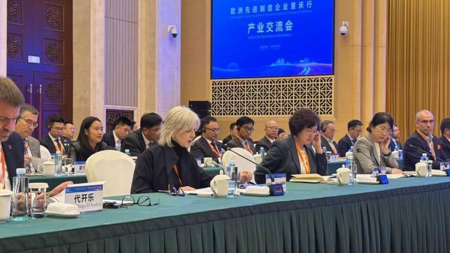 La directora del Igape, Covadonga Toca. |  Cedida