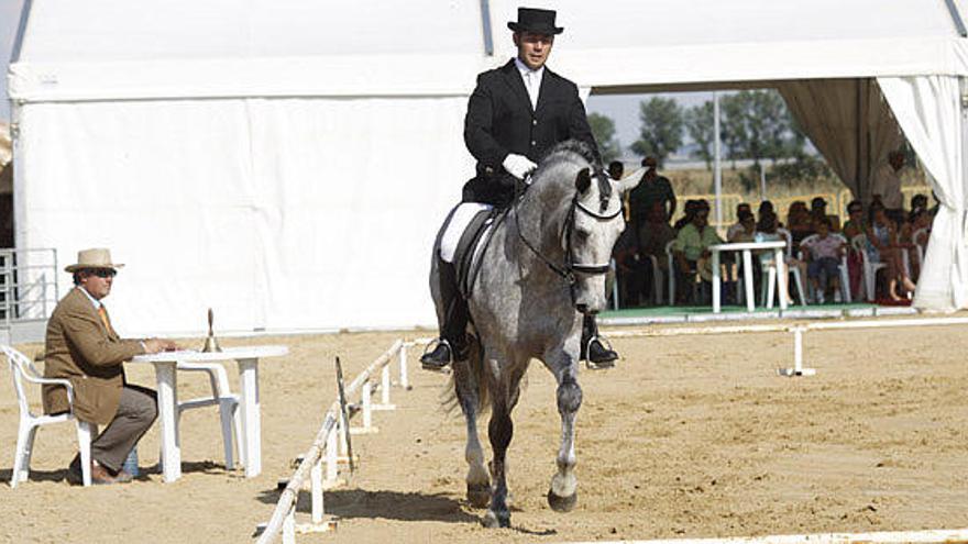 El caballo, protagonista del penúltimo día de la feria en Ifeza