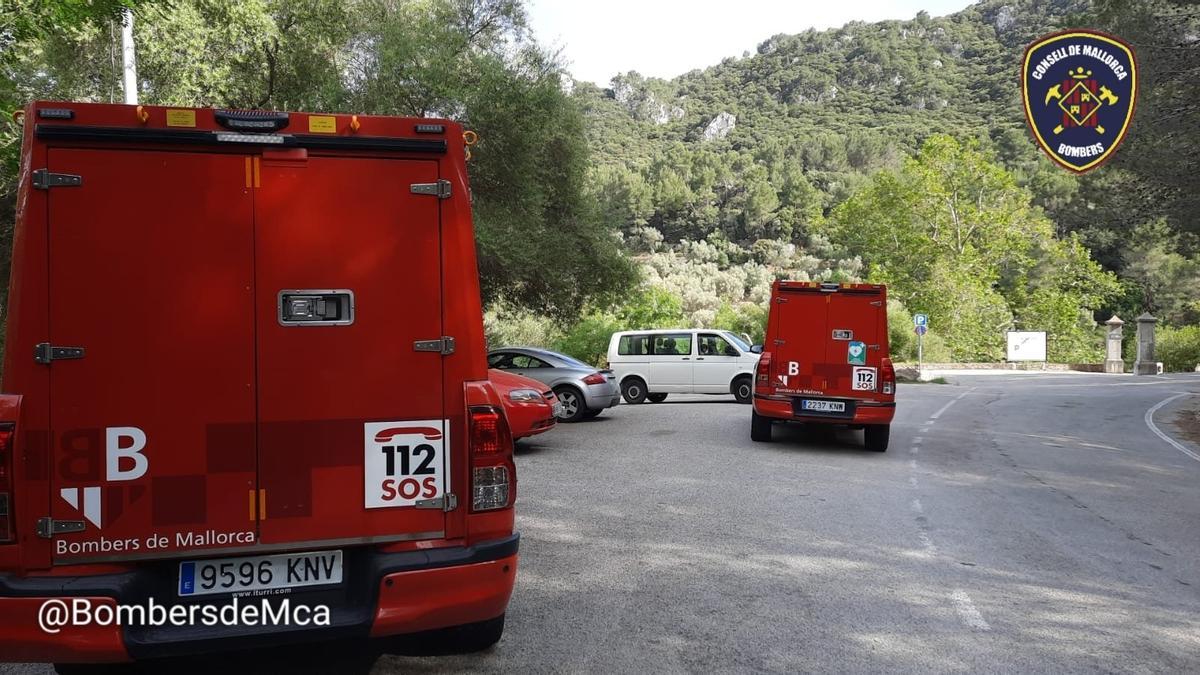 Dotaciones de los Bombers de Mallorca, en una imagen de archivo.