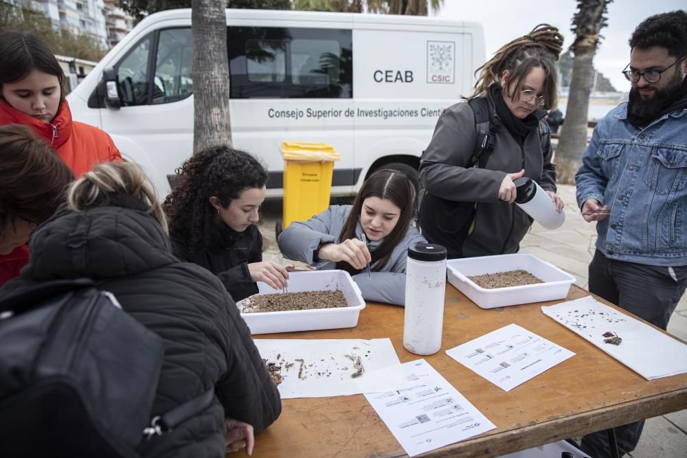 Jornada de mostreig i conscienciació contra els micro i mesoplàstics a Blanes