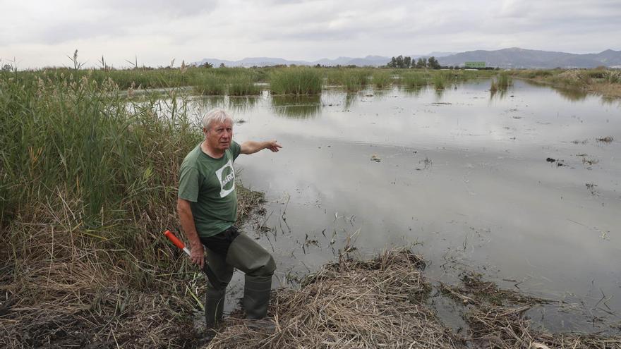 Un marjal con  una salud de hierro