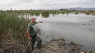 Un hogar para la biodiversidad en el marjal norte de Sagunt