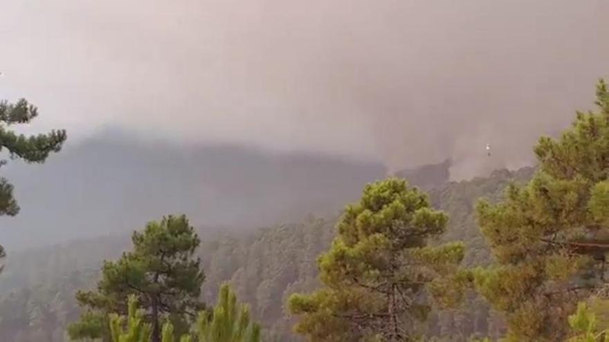 Vídeo | Medios aéreos y terrestres trabajan en el incendio de Pinofranqueado