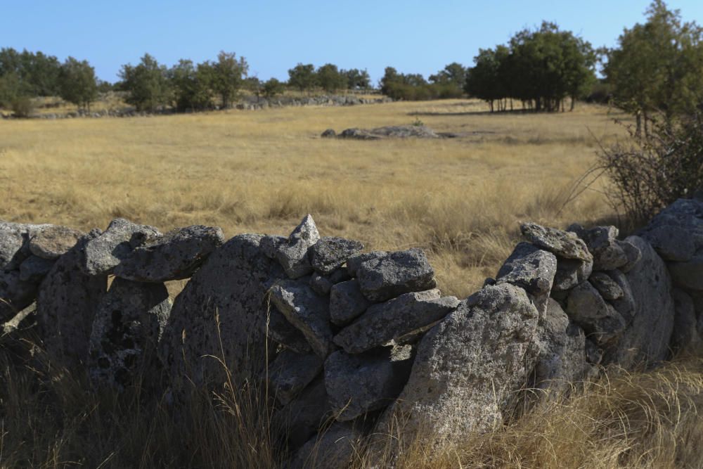 Zamora DesAparece|Bermillo