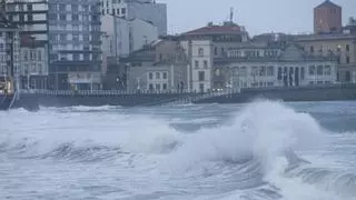 Del rescate de un perro en el mar a caídas de árboles, motos y antenas: los efectos del fuerte temporal de lluvia y viento en Gijón