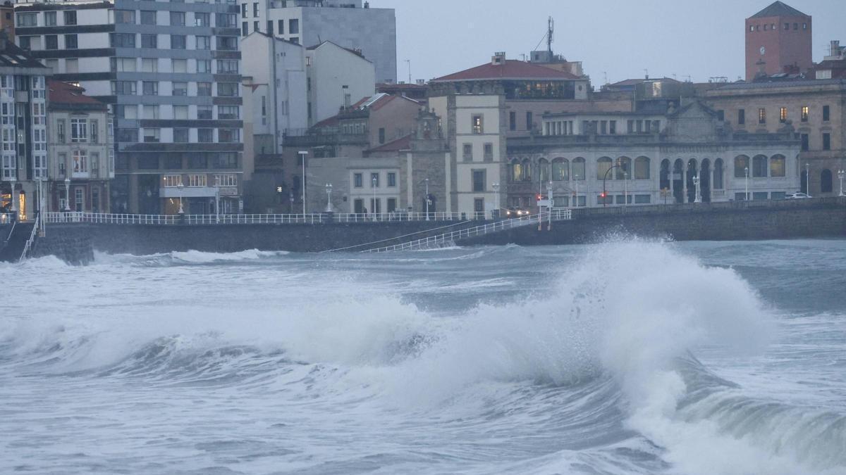 Del rescate de un perro en el mar a caídas de árboles, motos y antenas: los efectos del fuerte temporal de lluvia y viento en Gijón (en imágenes)
