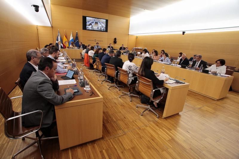 Pleno del Cabildo de Tenerife