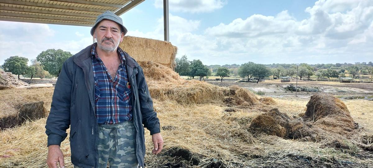 Julio Pordomingo en la explotación de Roelos de Sayago