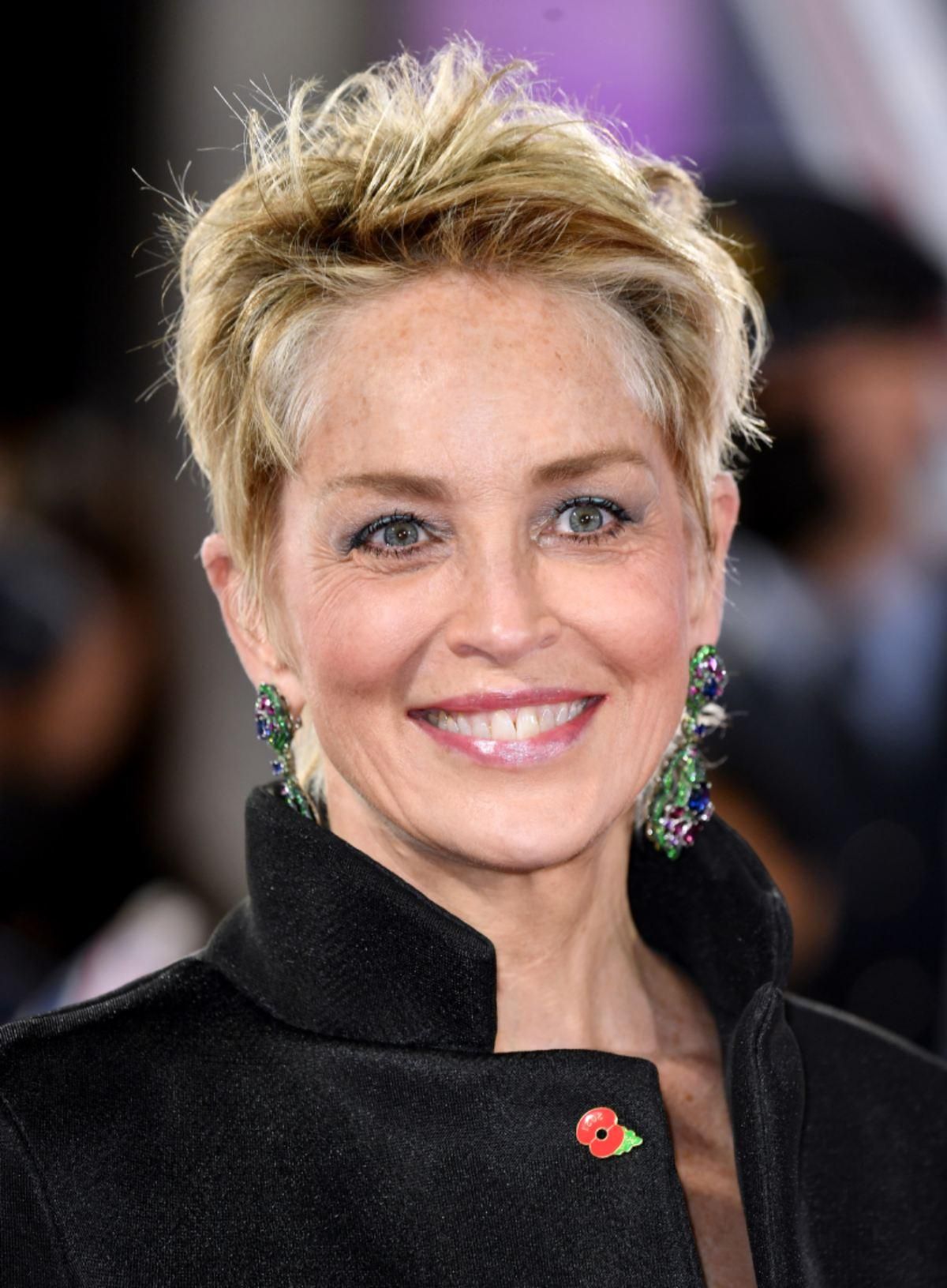 La actriz Sharon Stone