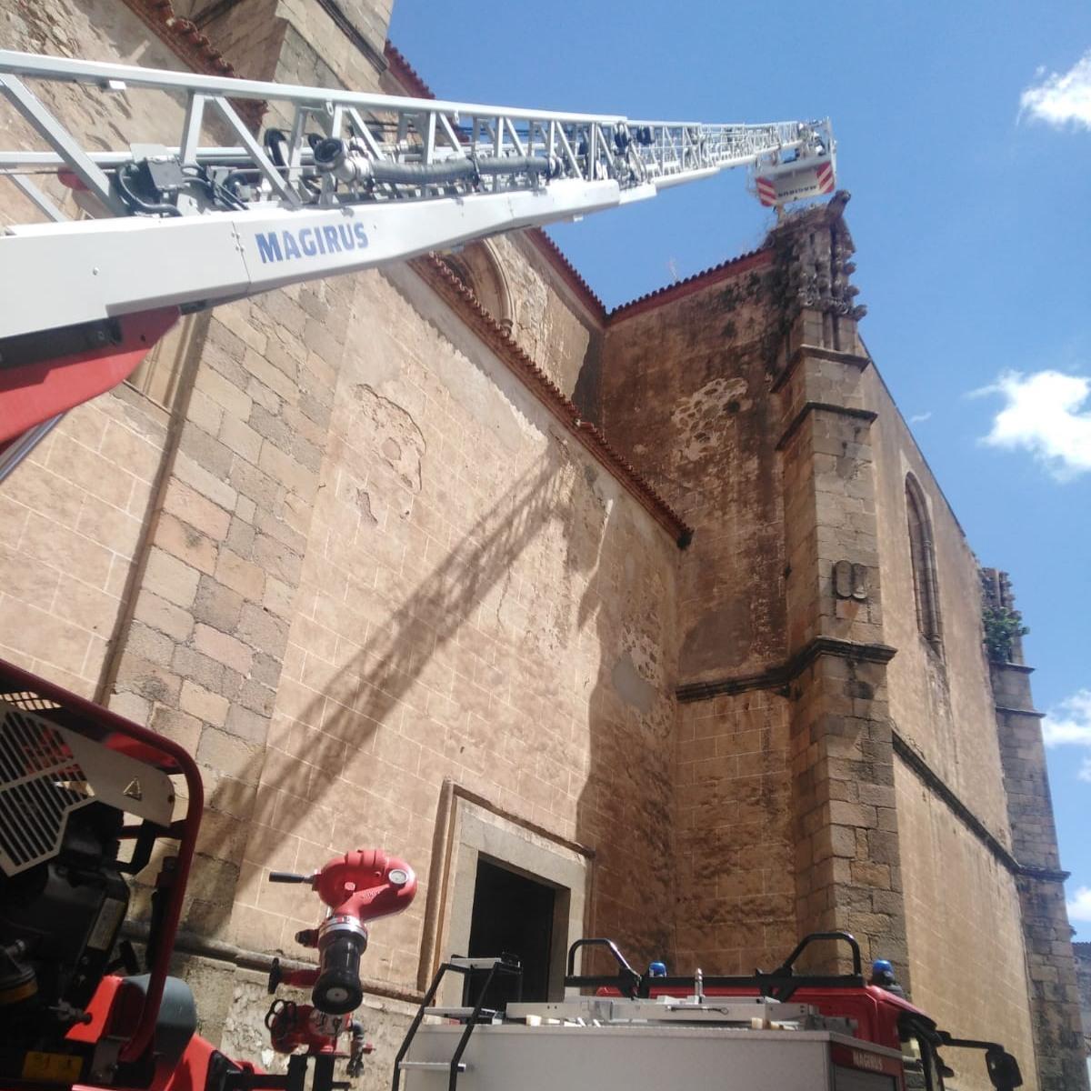 Rescate de tres cigoñinos en la iglesia de La Candelaria.