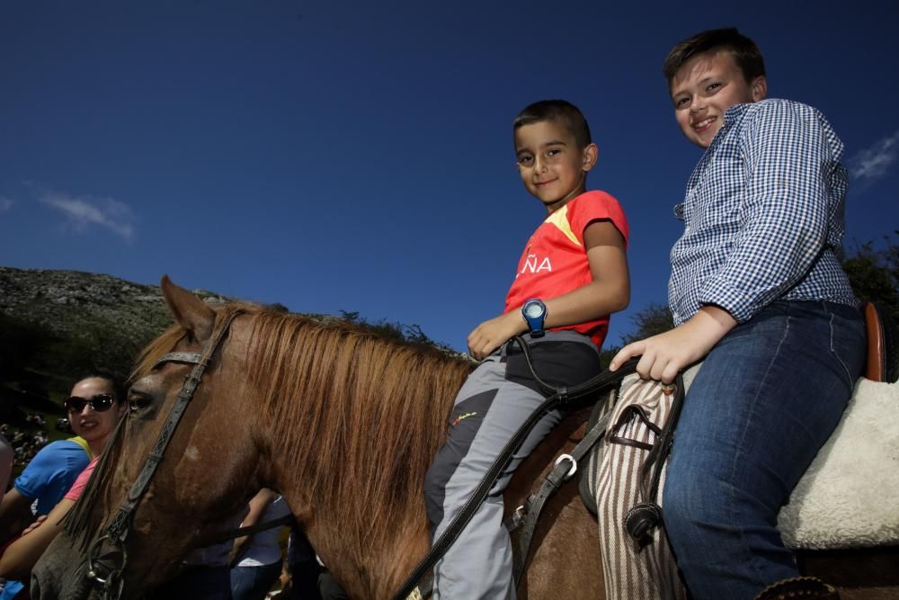 Fiesta del Asturcón en el Sueve