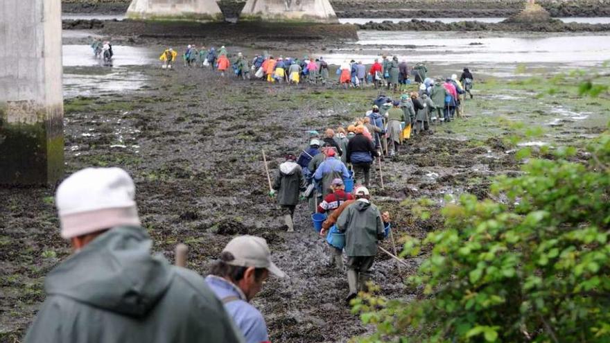 Un grupo de mariscadores en Lourizán. // Gustavo Santos