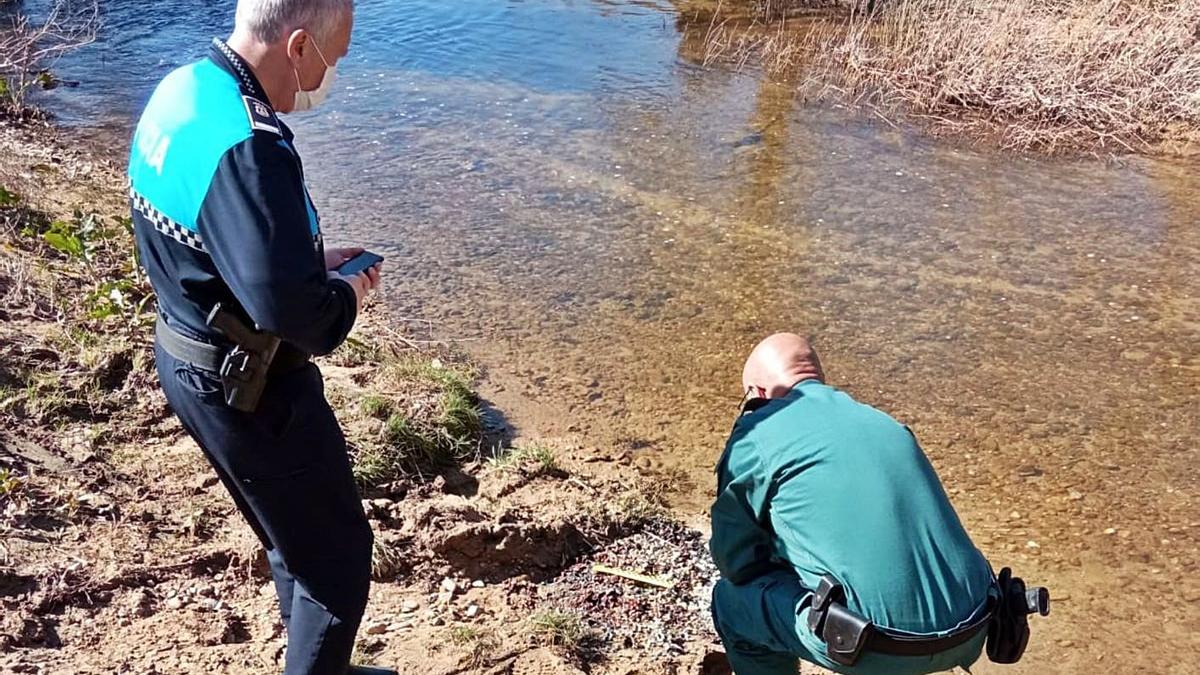 Efectivos de la Policía Local y del Seprona toman muestras de las pastillas en la ribera del río. | Cedida