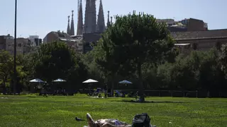 Un médico revela lo que nadie te había contado sobre la falta de vitamina: "No suele ser por falta de sol..."