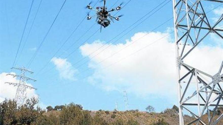 Controlan con drones la población de cabras montesas de los Pirineos