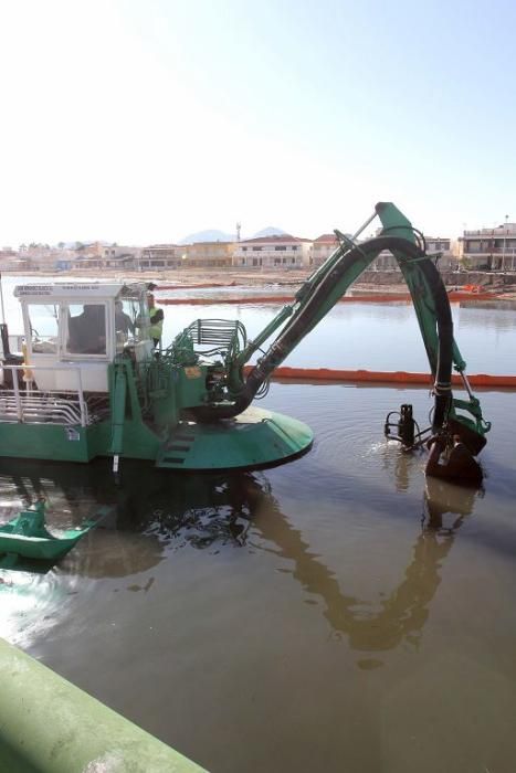 Así trabaja la brigada de limpieza en el Mar Menor