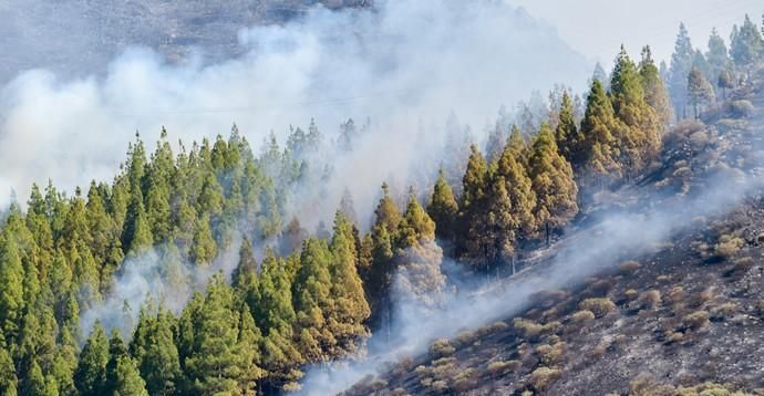 10-08-2019 ARTENARA. Incendio en la cumbre de Gran Canaria  | 10/08/2019 | Fotógrafo: Andrés Cruz