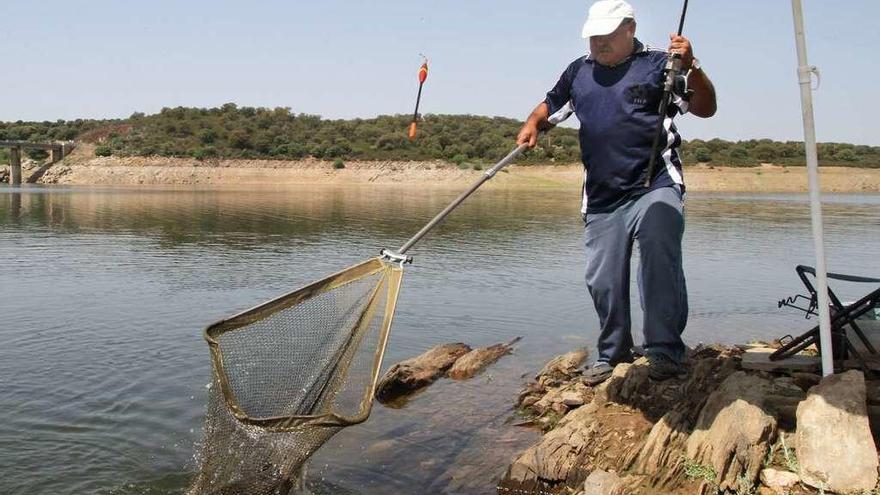 Un pescador recoge una carpa capturada en el embalse de Ricobayo.