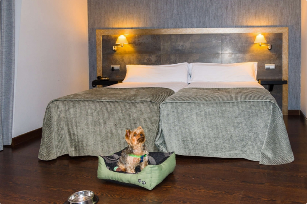 Albergues dog Friendly