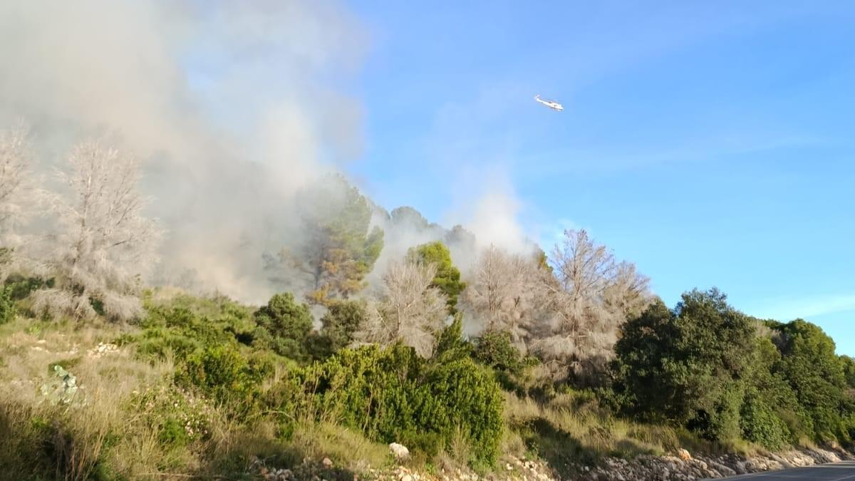 Vídeo del incendio en el Montgó y enfrente del hotel Marriott