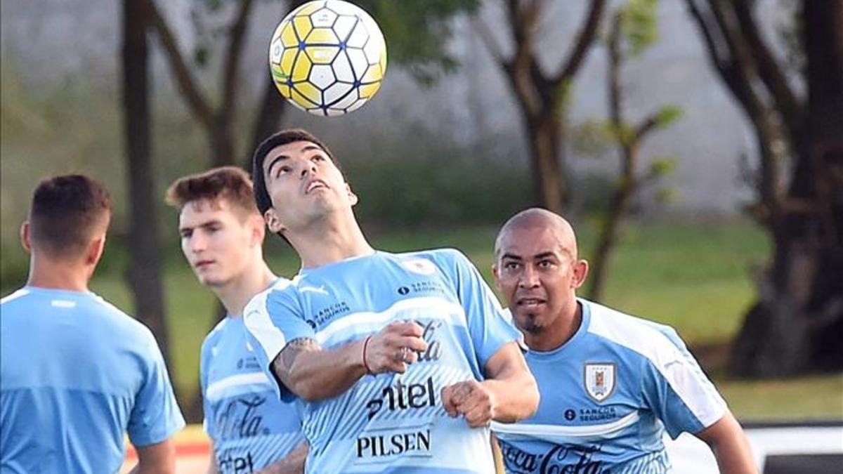 Luis Suárez da toques al balón con la cabeza en el entrenamiento de hoy de Uruguay