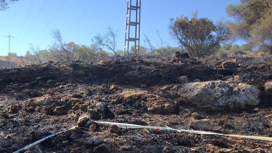 Un buitre electrocutado origina un incendio forestal en Lorca