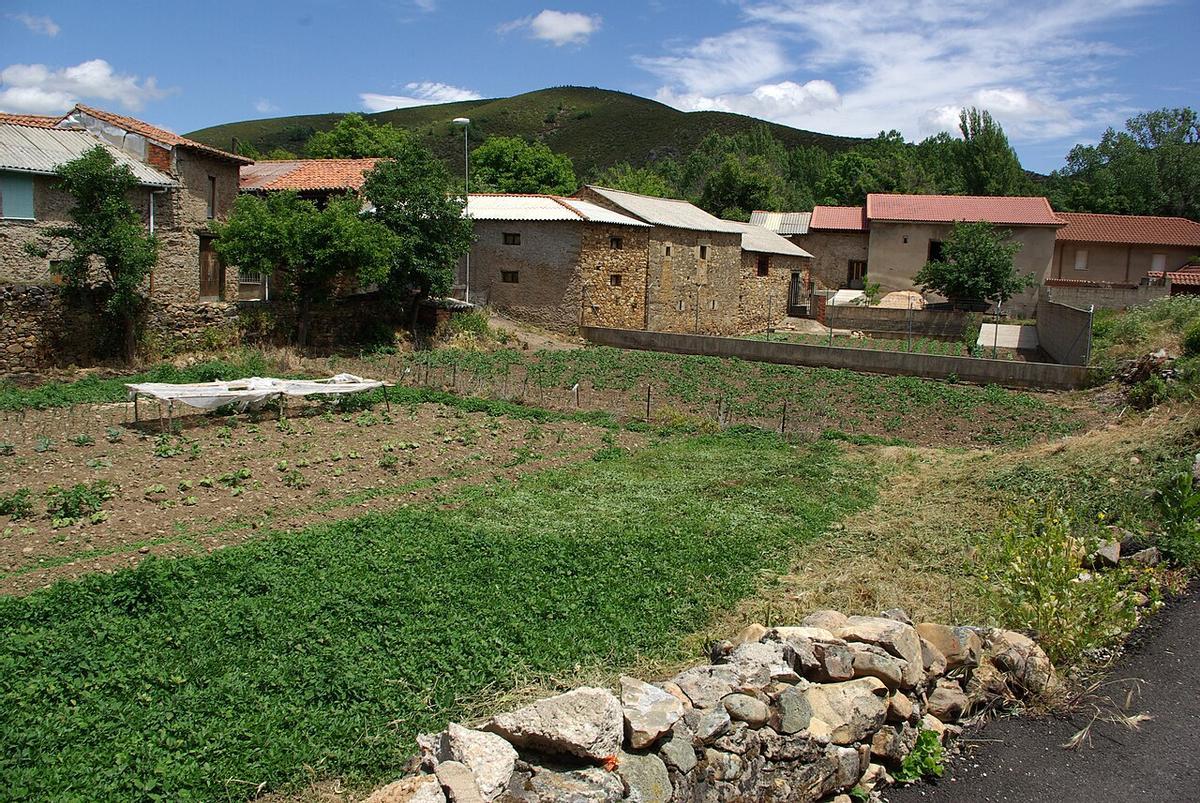Huerta en La Utrera.