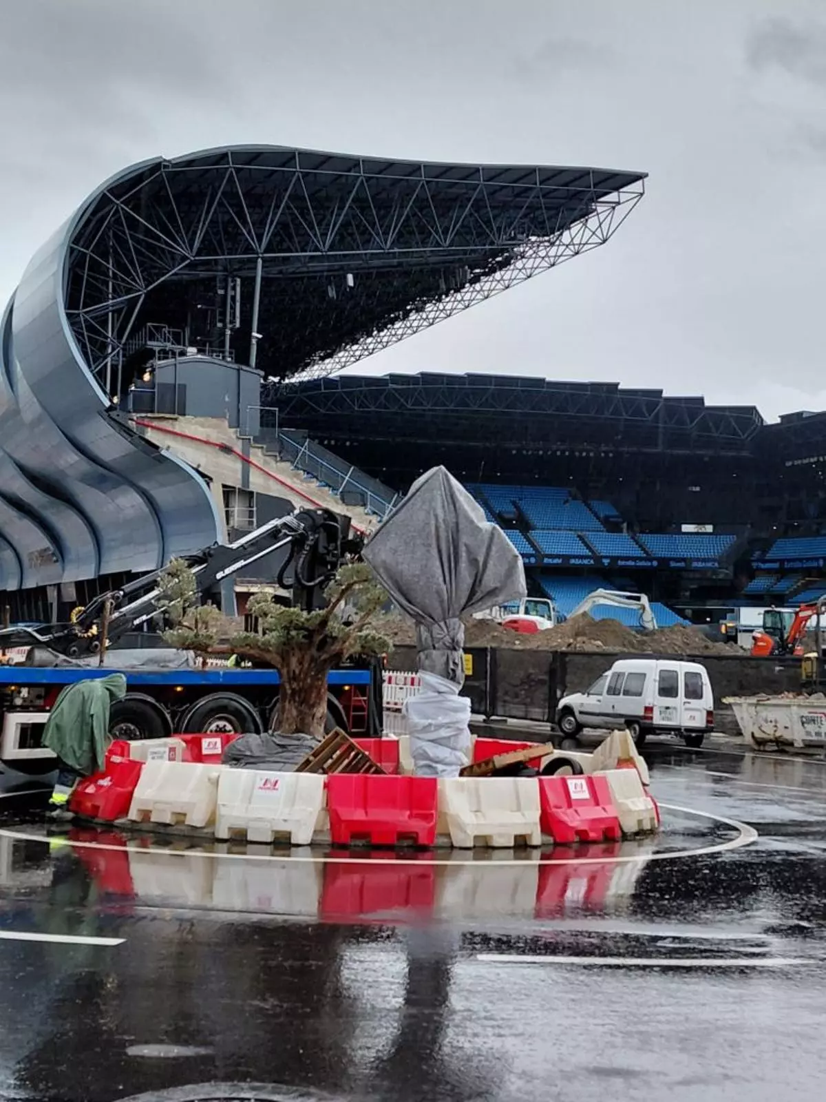 Una «oliveira» centenaria ya luce junto al nuevo escudo del Celta en Balaídos