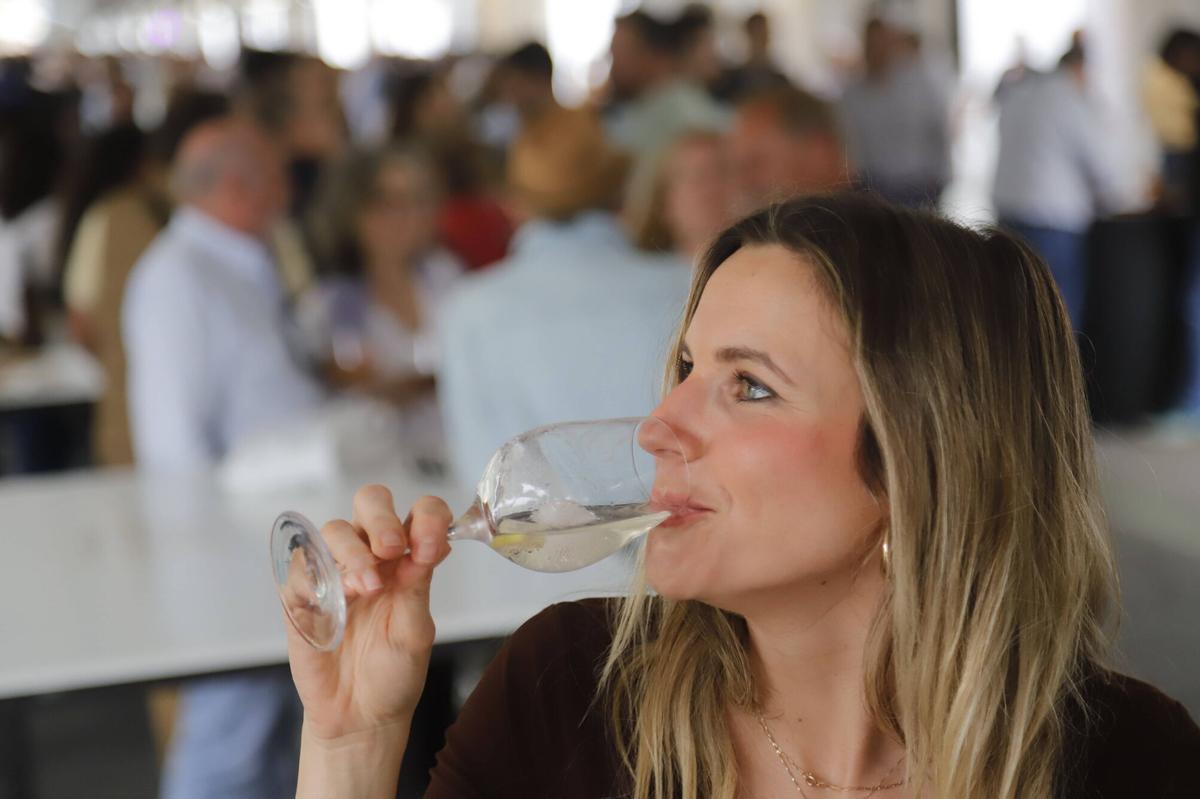 Presentaciones, catas y proyectos como Patios de Bodega marcan el viernes