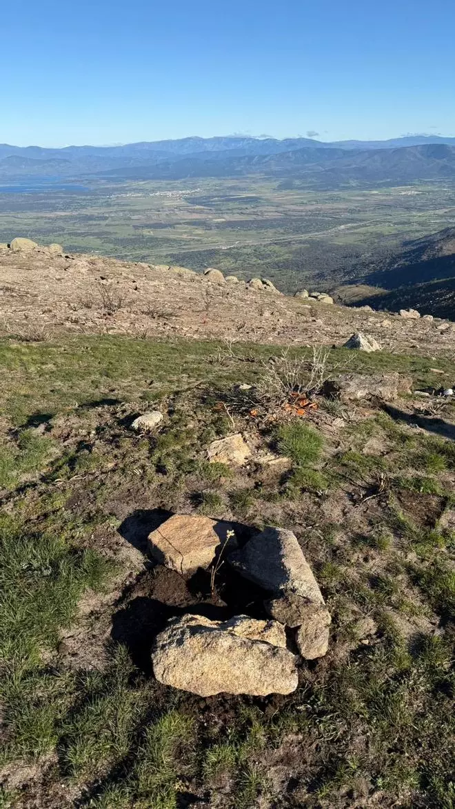 Cabezabellosa impulsa la reforestación tras el incendio con la plantación de 800 árboles autóctonos